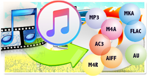 DVD Creator