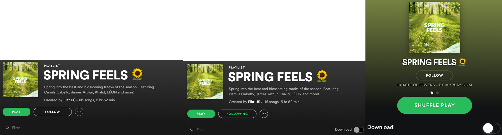 download mp3 of spotify playlist