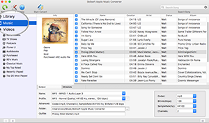 drm removal software itunes 10.13